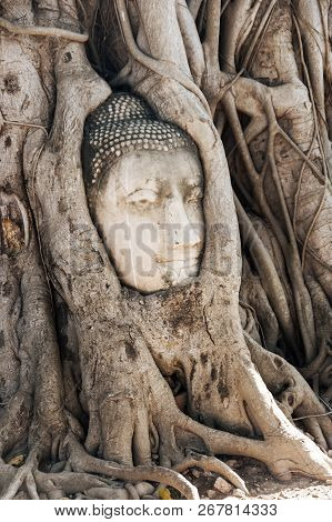 A Stone Head Of Buddha In Wat Prha Mahathat Temple
