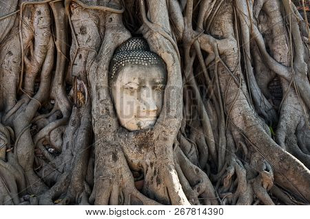 A Stone Head Of Buddha In Wat Prha Mahathat Temple
