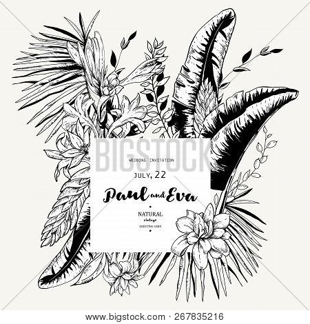 Vector Black White Greeting Card Of Tropical Leaves, Exotic Natu