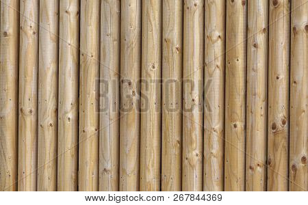 Semi-circular Vertical Wooden Posts Nailed Together To Make A Fence