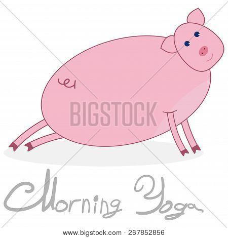 Morning Yoga With A Pig. The Pig Is Engaged In Stretching The Legs. Pig Isolated On White Background