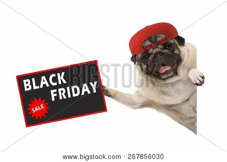 Frolic Pug Puppy Dog With Red Cap, Holding Up Sale Sign With Text Black Friday, Hanging Sideways Fro