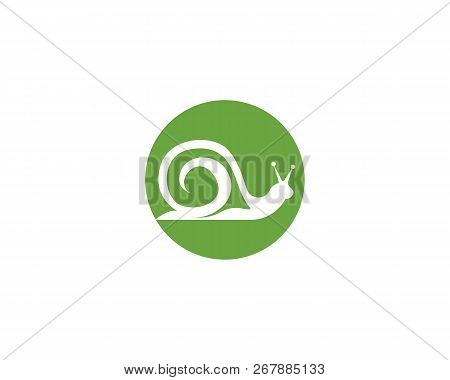 Snail Logo Vector Symbol