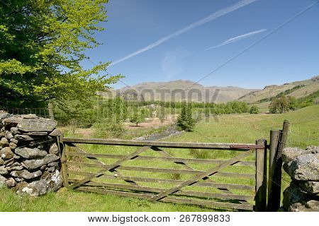 Path In The Duddon Valley Or Dunnerdale, In The English Lake District