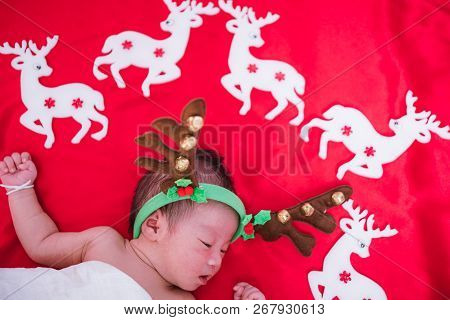 Newborn Baby Girl Sleeping With Deer