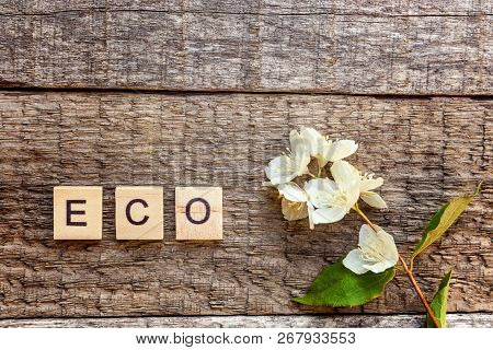 Inscription Eco Letters Word Jasmine Flower On Old Rustic Wooden Backdrop. Eco Village Abstract Envi