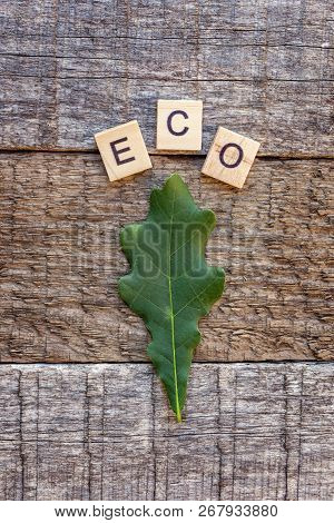 Inscription Eco Letters Word And Oak Leaf On Old Rustic Wooden Backdrop. Eco Village Abstract Enviro