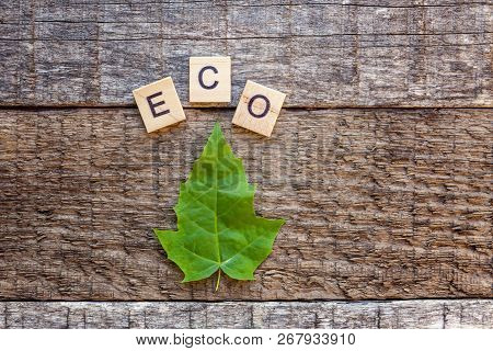 Inscription Eco Letters Word And Maple Leaf On Old Rustic Wooden Backdrop. Eco Village Abstract Envi