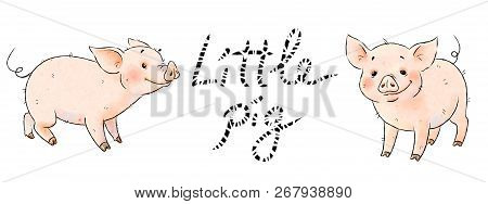 Hand Drawn Naughty Pigs. Two Cute Funny Piglets Isolated On White Background. Pig Chinese Zodiac Sym