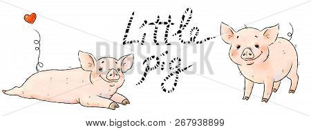 Hand Drawn Naughty Pigs. Two Cute Funny Piglets Isolated On White Background. Pig Chinese Zodiac Sym