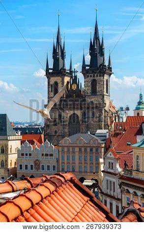 Gulls Over Prague Chimes And Tynsky Cathedral At Summer Day