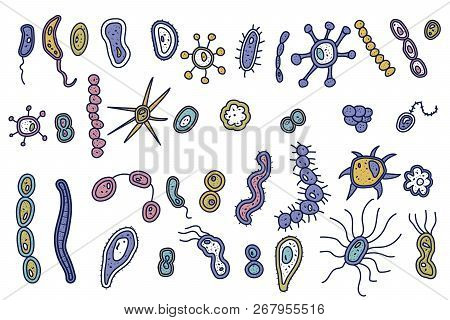 Set Of Bacteria Cell. Microorganism Collection. Vector Colorful Doodle Style Objects Isolated On Whi