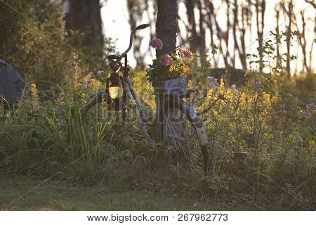 End Of Afternoon Light Steeps A Vintage Bicycle In A Bucolic And Relaxing Scandinavian Garden