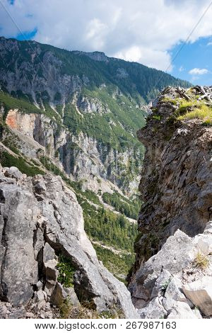 View From 