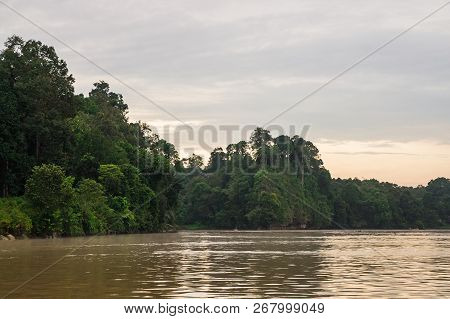 Early Morning Rainforest Along The Kinabatangan River, Sabah, Borneo. Malaysia.