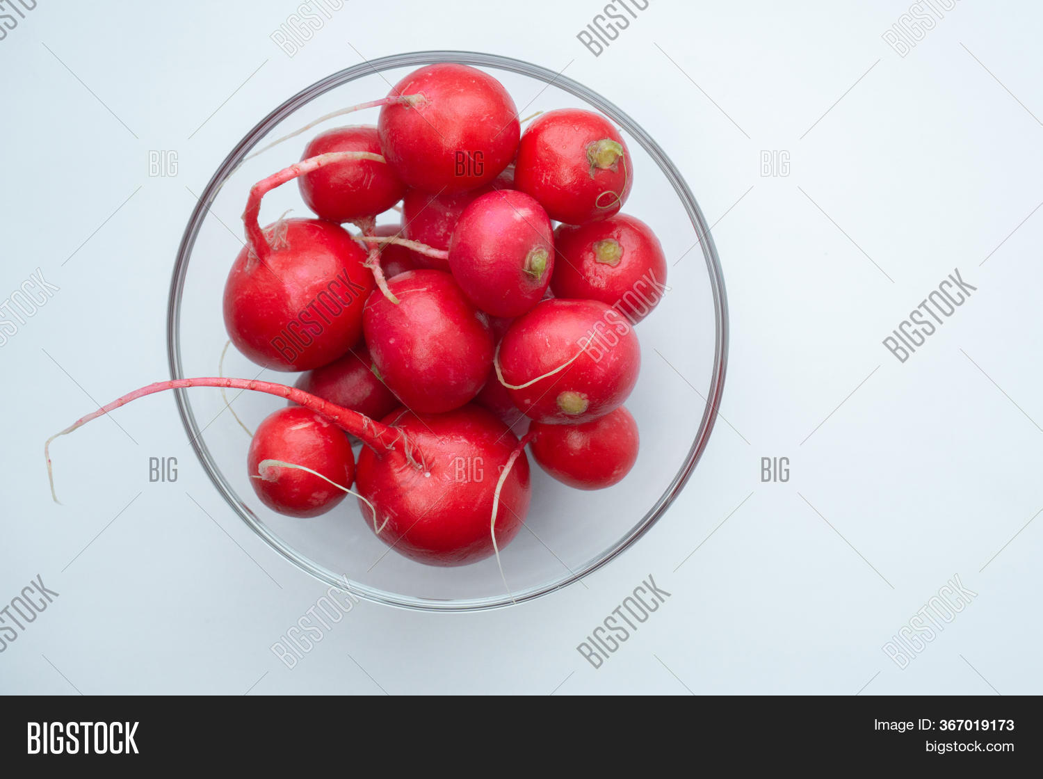 Red Clean Radishes Image & Photo (Free Trial) Bigstock