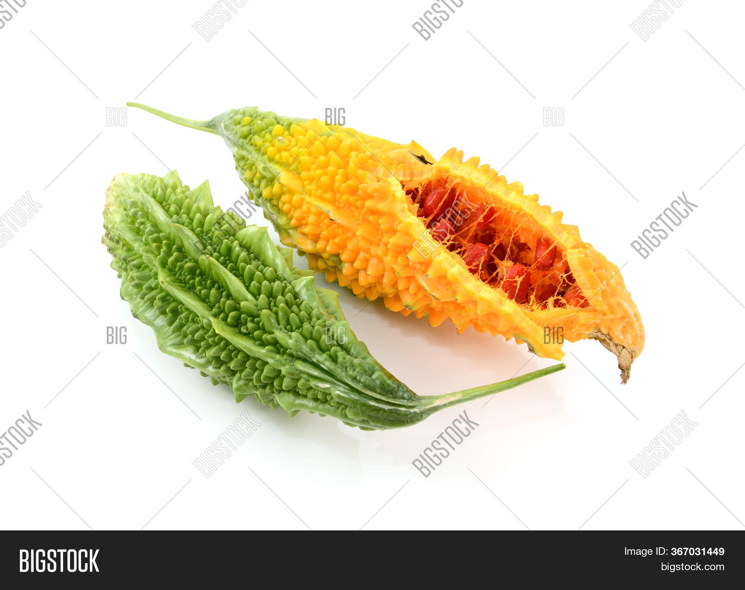 Two Ripe Bitter Melons Image Photo Free Trial Bigstock