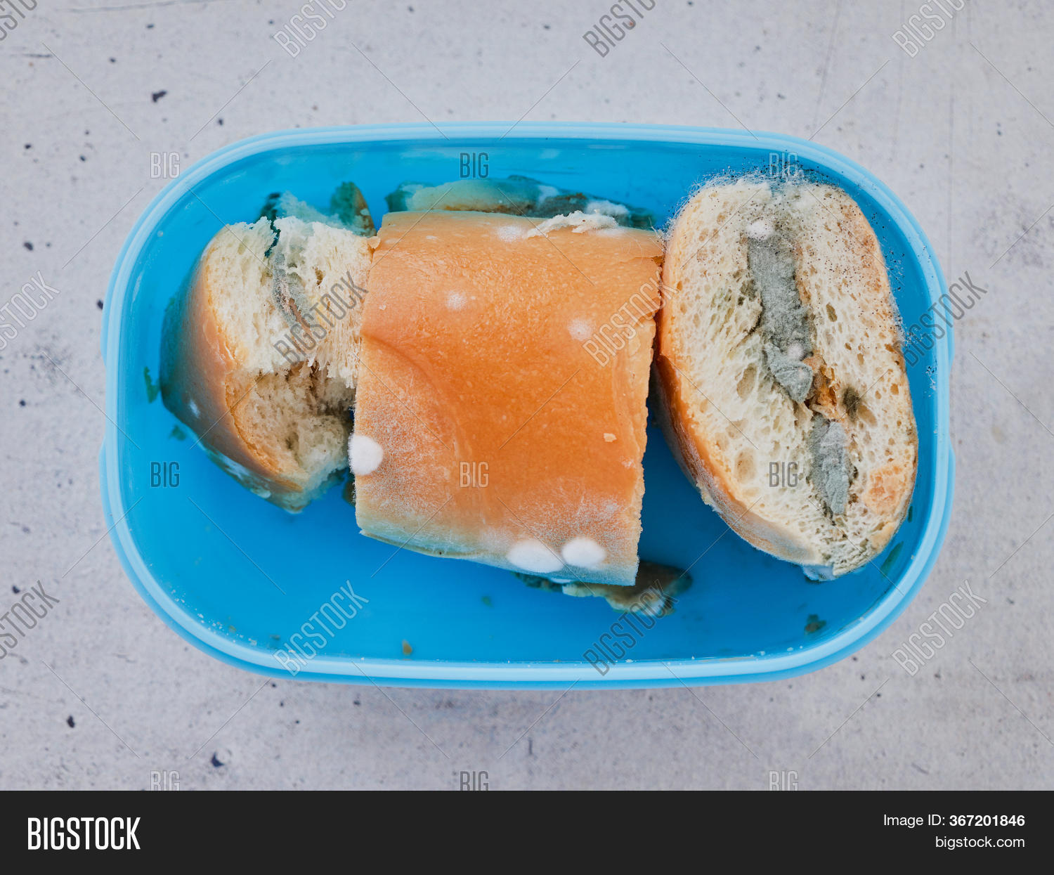 Moldy Edible Spoiled Image & Photo (Free Trial) Bigstock