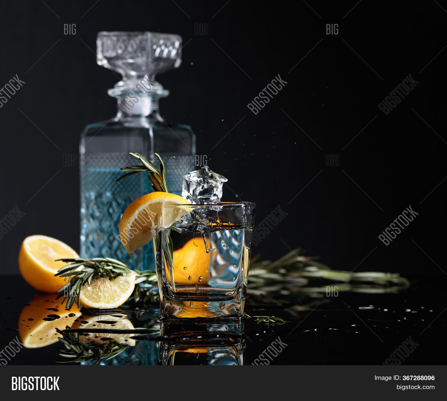 Gintonic Lemon Slices Image & Photo (Free Trial) Bigstock