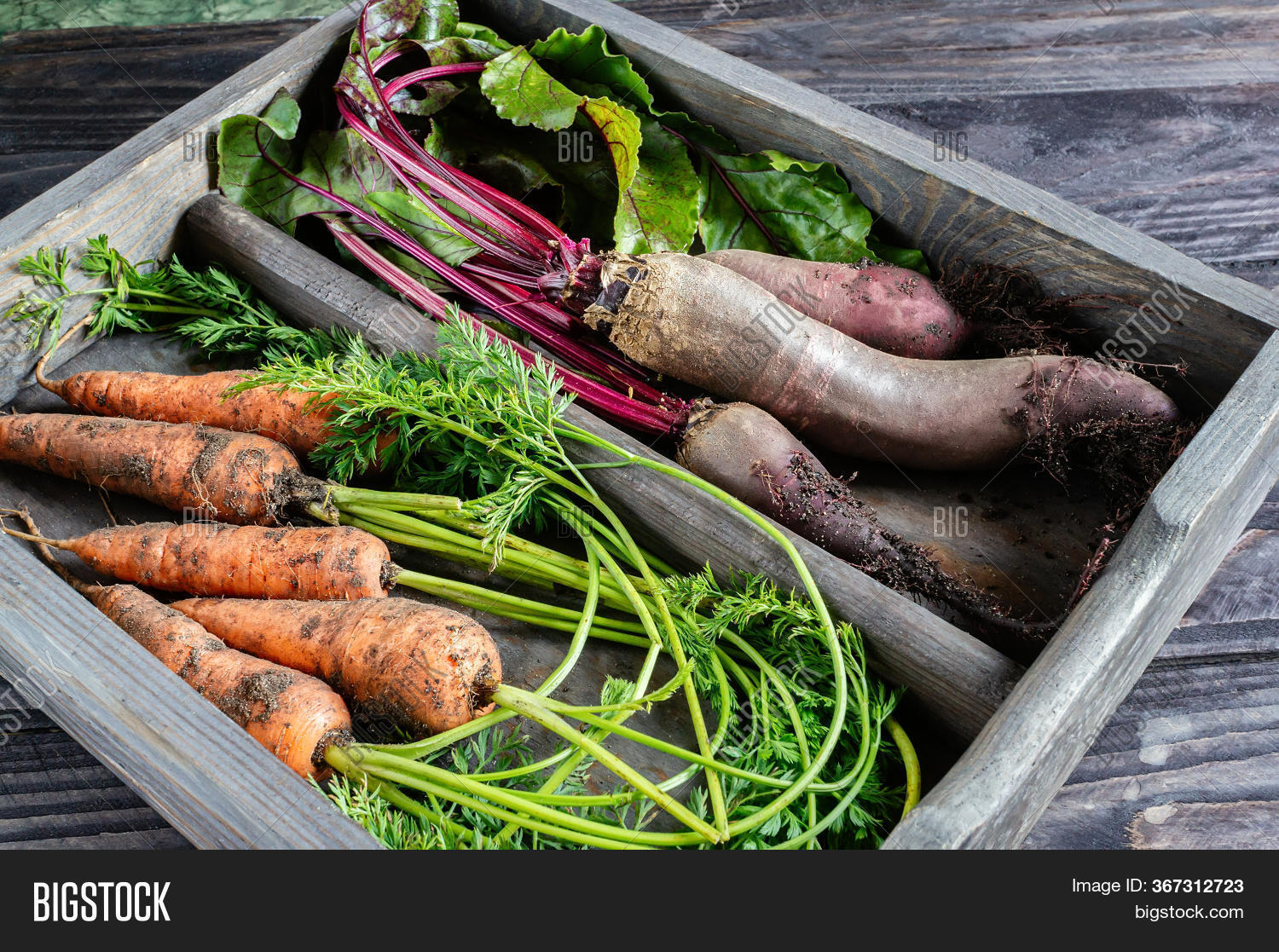 Fresh Beets Carrots Image & Photo (Free Trial) Bigstock