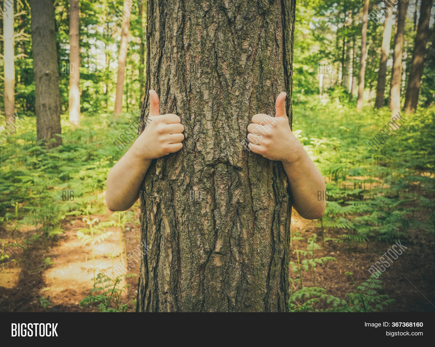 Tree Trunk Arms Giving Image & Photo (Free Trial) Bigstock