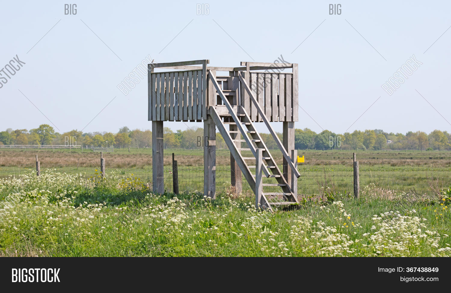 Viewing Platform Image & Photo (Free Trial) Bigstock