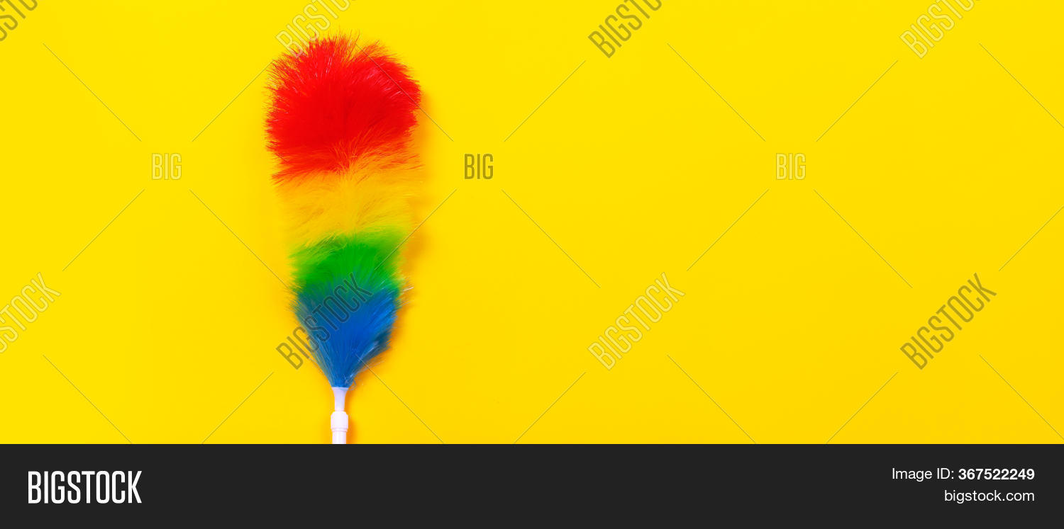 Colorful Feather Image & Photo (Free Trial) | Bigstock