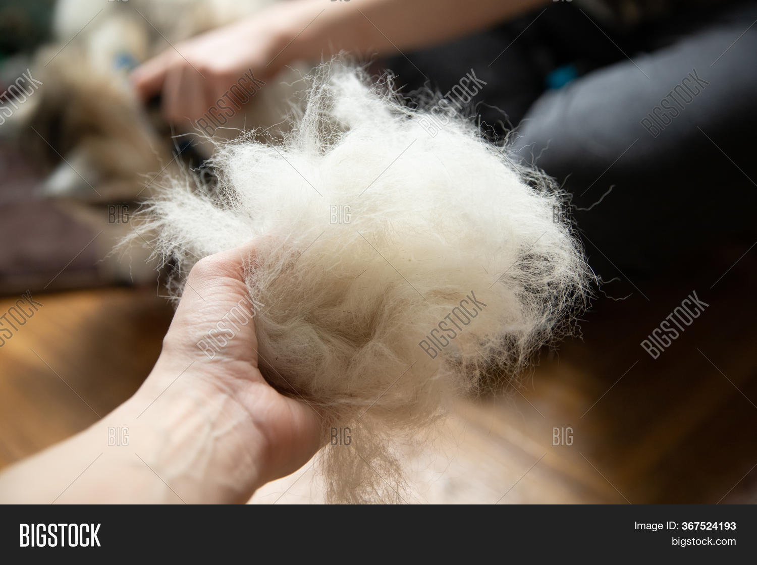 Ball Dog Hair Hand Image & Photo (Free Trial) Bigstock