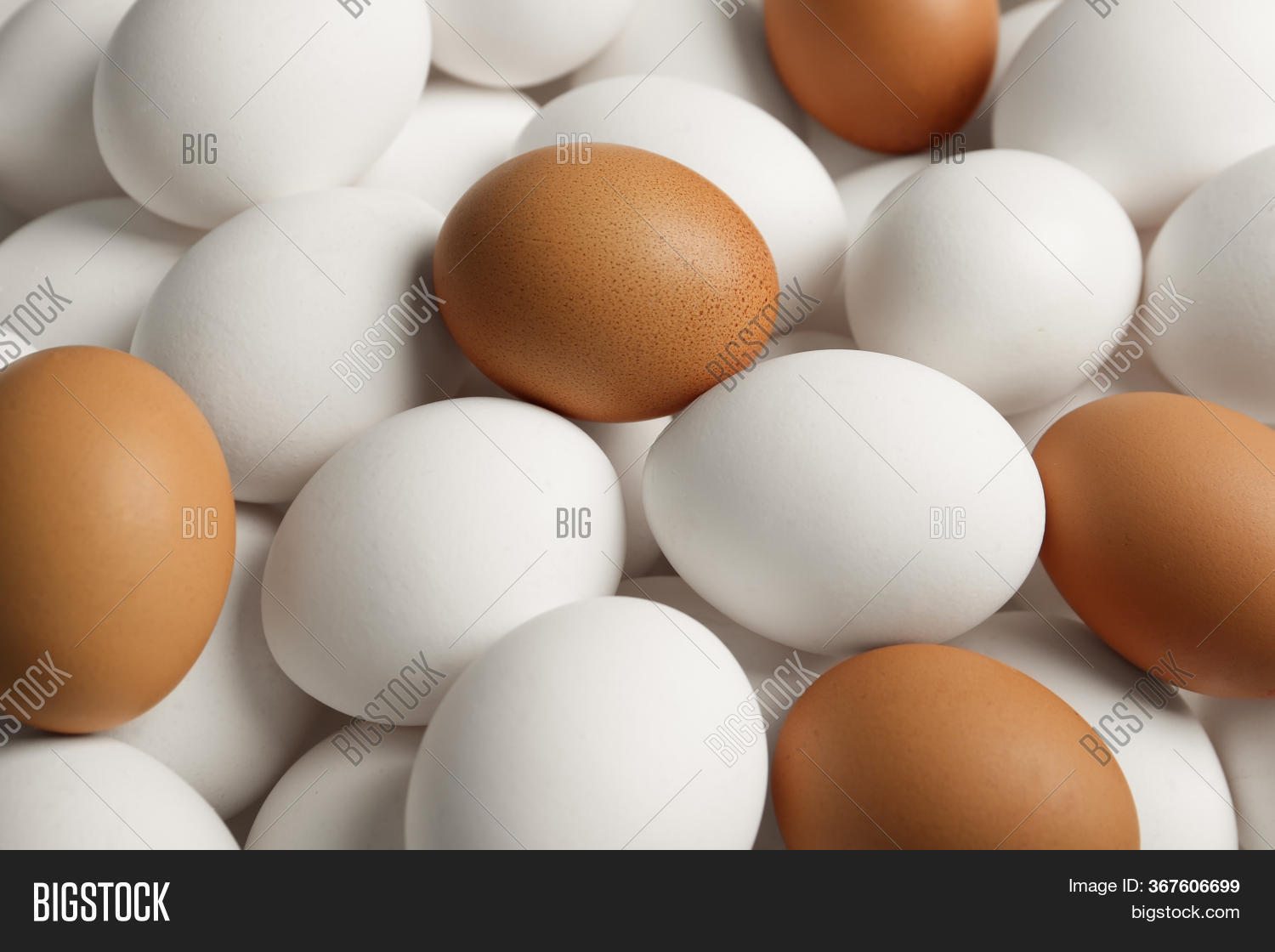 Fresh Raw Chicken Eggs Image & Photo (Free Trial) Bigstock
