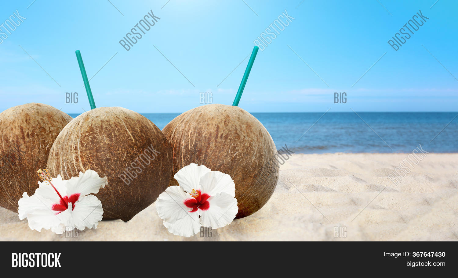 Brown Coconuts Image & Photo (Free Trial) Bigstock