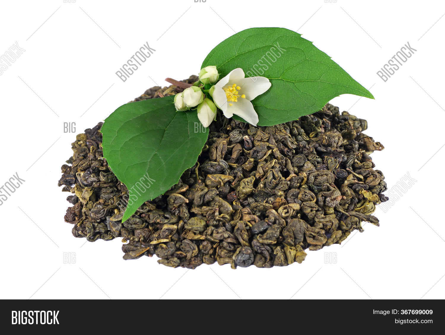 Green Tea Jasmine. Image & Photo (Free Trial) Bigstock