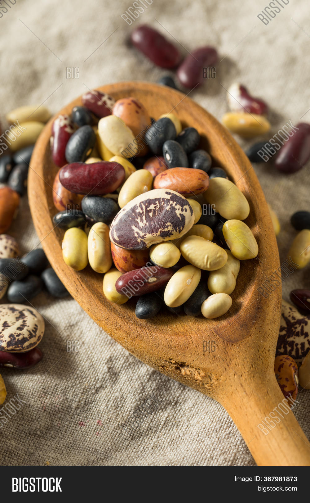 Raw Dried Organic Bean Image & Photo (Free Trial) Bigstock