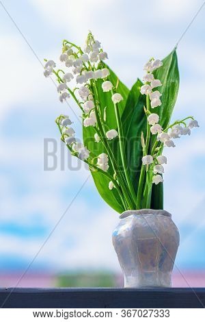 Flower Spring Lily Of The Valley Background Vertical Close-up. Lily Of The Valley. Floral Spring Bac