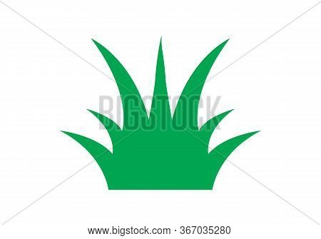 Turf Lawn And Garden Care Company Creative Design Element