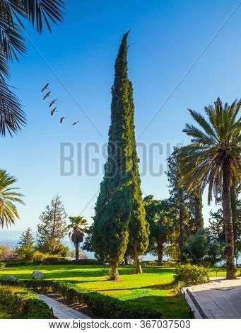 The Mount Bliss on the Sea of Galilee. Blooming huge park around the monastery. Israel. Catholic Church of the Beatitudes of the Franciscan monastery. The concept of religious pilgrimage 