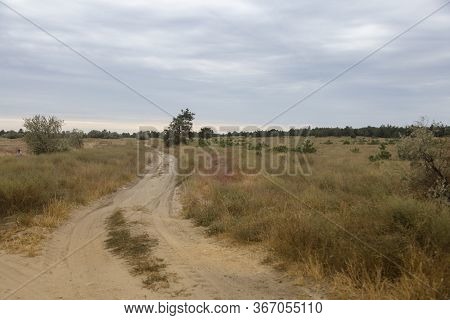 A Country Road In The Southern Steppe, Grassland By Black Sea, Ukraine