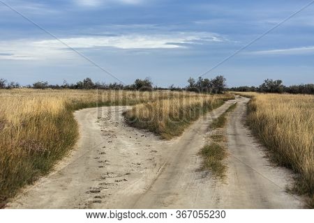 Two Country Roads In The Southern Steppe, Grassland By Black Sea, Ukraine