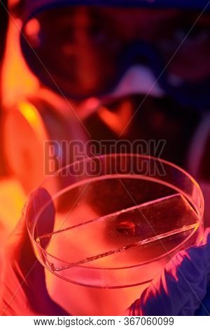 COVID-19 or 2019-nCoV. Close-up portrait of a scientist microbiologist in a protective PPE suit showing the blood test in a Petri dish.
