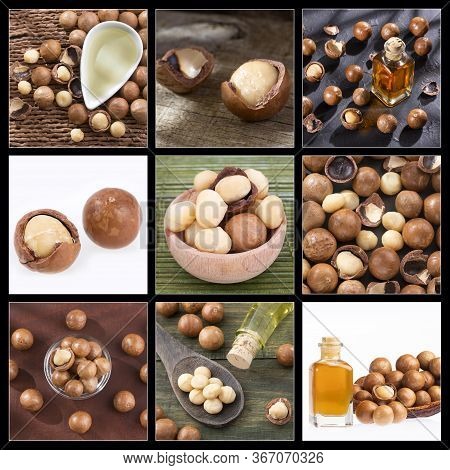 Macadamia Integrifolia - Creative Collage Of Macadamia Nuts Images
