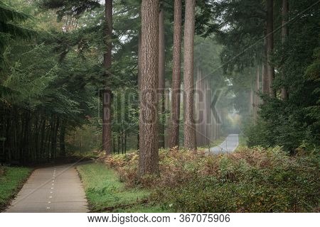 Speulderbos, Gelderland, The Netherlands - October 23, 2019 : Path For Bicycles Next To The Main Roa