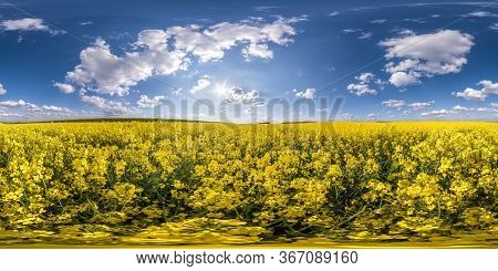 Full Seamless Spherical Hdri Panorama 360 Degrees Angle View On Among Rapseed Canola Colza Fields In