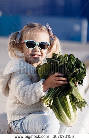 A Little Girl Of Three Years Old In A Grocery Store Or Supermarket Chooses Fresh Organic Cabbage. He
