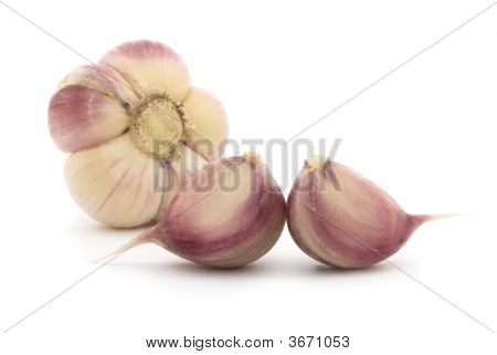 Valkosipuli