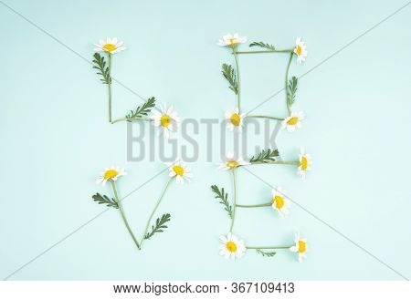 Word Love Made Of Chamomile Flowers Arranged On A Light Blue Background. Minimal Mother's Day Flat L