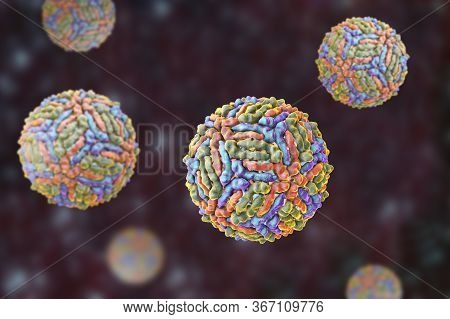 West Nile Virus, Wnv, 3d Illustration. A Virus That Is Transmitted By Mosquito And Causes West Nile 
