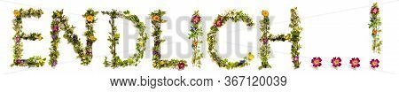 Flower And Blossom Letter Building Word Endlisch Means Finally