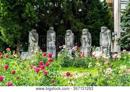 Baia Mare, Romania - June 17, 2019: The Baia Mare Old People's Monument.