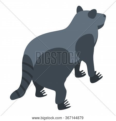 Raccoon Animal Icon. Isometric Of Raccoon Animal Vector Icon For Web Design Isolated On White Backgr