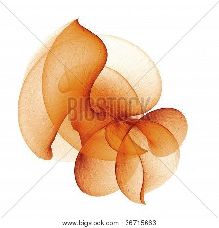 Oranje orchidee