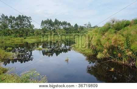 Waterside scenario vicino Monti Rwenzori